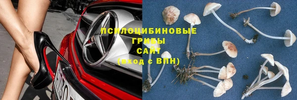 спайс Рославль