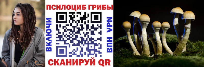 Псилоцибиновые грибы Magic Shrooms  Суздаль 